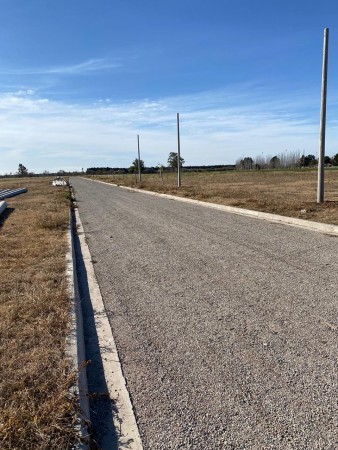 LOTE PIÑERO , BARRIO MONTECATINI, TERRENOS DE 300 M2