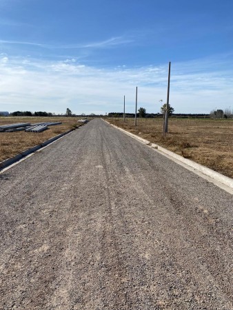 LOTE PIÑERO , BARRIO MONTECATINI, TERRENOS DE 300 M2