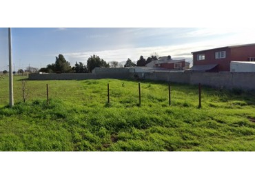 Alvear, Barrio Monte Flores, dos terrenos a la venta, 330 m2 cada uno